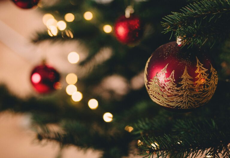 hotel_und_restaurant_niesenblick_weihnachtsdinner